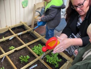 moestuin project toppie